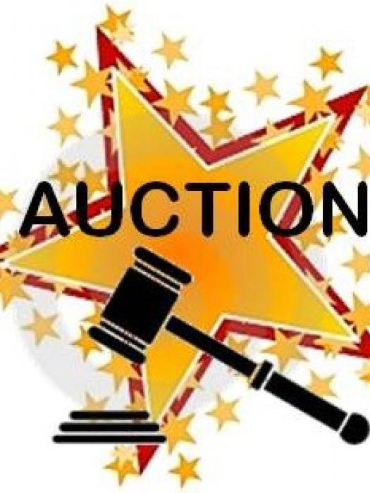 Best Finance to re-auction 75,340 units Promoter Share from 31st Baisakh